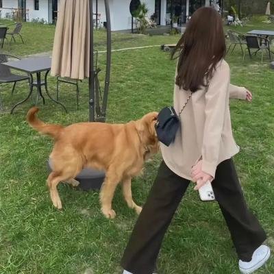 空中监狱